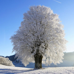 Bitcoin, Ethereum are not facing another "crypto winter" just yet