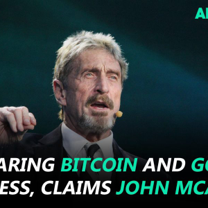 John McAfee on comparing Bitcoin and Gold, Bitpay CCO on Facebook coin and more