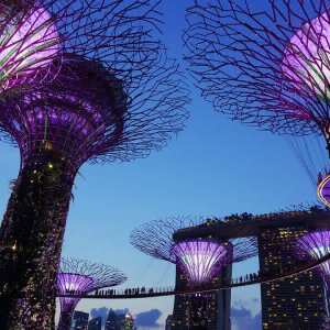 Elliptic announces support for Singapore Dollar-backed stablecoin – XSGD