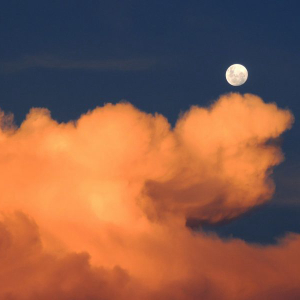 XRP primes itself to race to the moon after prominent analyst predicts coin breakout