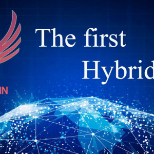 IMCoin – The world’s first Hybridcoin