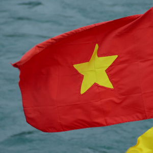 Binance supports Vietnamese Dong backed stablecoin, BVND