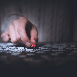 Bitcoin [BTC] is being used to solve real pain points around the world, says BitPay CEO