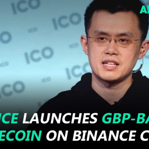 Bitcoin falls below $8,000, Binance launches GBP-backed stablecoin and more