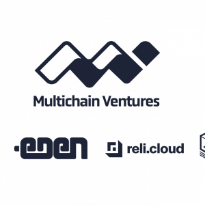 Everything you need to know about Multichain Ventures’ service portfolio