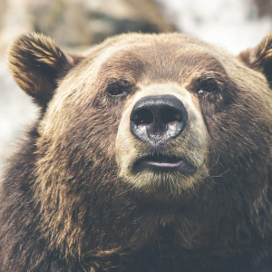 Tron [TRX/USD] Technical Analysis: Cryptocurrency succumbs to the bear again as prices stagnate