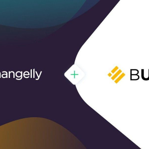 Changelly restocked the list of exchangeable cryptos with Binance stablecoin BUSD