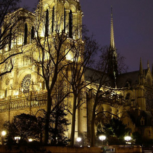 Bitcoin [BTC] community rallied by French crypto-journalist after Prez Macron pledges to rebuild Notre-Dame