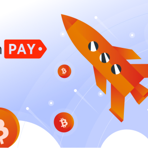 B2BinPay-crypto payment processing for your business