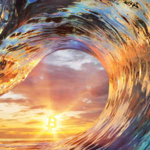Bull Run Imminent? Hodl Waves Chart Shows 60% of Bitcoin Hasn’t Moved in a Year