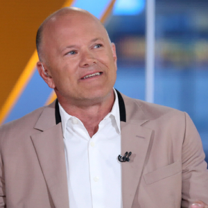 Mike Novogratz: Everyone Should Put 2% to 3% of Their Net Worth in Bitcoin