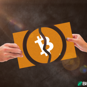 The Bitcoin Cash Network’s Block Reward Officially Halved – Block 630,000 Mined