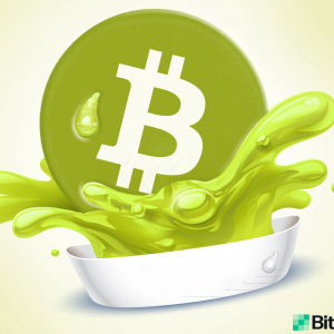 BCH Merchant Directories Now List 4,300 Bitcoin Cash-Accepting Businesses