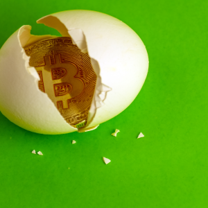 These Bitcoin Easter Eggs Are Hidden in Plain Sight