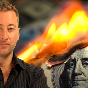 Dollar Vigilante Founder Talks Covid-19 and Economic Crisis: ‘The Modern Financial System Is at the End of It’s Rope’