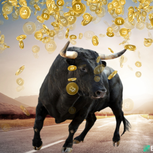 Crypto Bulls Roadshow Coming to Over 15 Indian Cities — With Government Participation