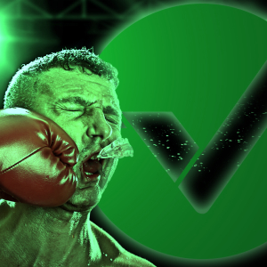 Vertcoin Network Sabotaged by Another 51% Attack