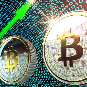 Bitcoin Addresses Holding $1 Million Goes ‘Parabolic,’ 10% of BTC Supply Sits Idle for 10 Years