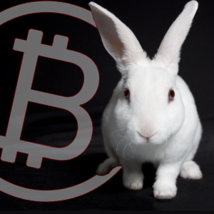 Black Hat Demo to Reveal ‘White Rabbit’ Crypto-Transaction Surveillance Tool