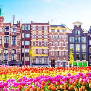 Dutch Central Bank Prepares to Start Regulating Crypto Sector