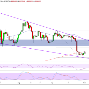 Bitcoin Cash Price Analysis: BCH/USD Bulls Charge and Aim Higher