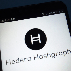 Hedera’s Performance Comes at the Expense of Decentralization, Skeptics Claim