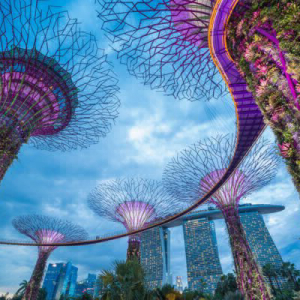 Singapore May Become First Country to Fully Embrace Cryptocurrencies