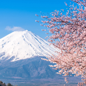 Japan Capping Cryptocurrency Leverage Trading in April 2020