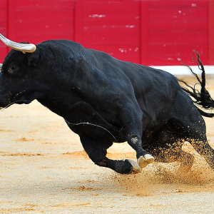 Bitcoin Bulls Are Running Again – Is $9,000 The Weekend Target?
