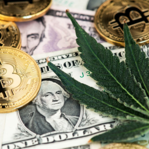 Bitcoin Bull Market Leaves Cannabis Traders Green With Envy