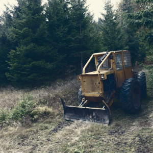 Bitcoin Will Move Like a “Bulldozer” Once It Gains Momentum, Claims Analyst