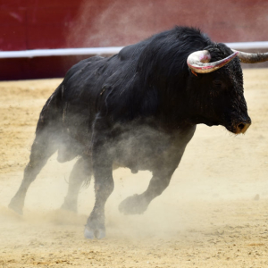 ‘Ultra-Bull Case’ for Bitcoin Driven By Central Banks – Anthony Pompliano