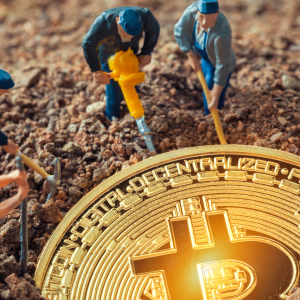 Cryptocurrency Miners Ignore the Bitcoin Price Fall, Focus on Expansion Instead