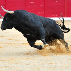 Bitcoin Addresses With More than 100 BTC Rises, Indicating a Bull Run Ahead