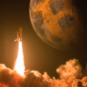 Bitcoin Is More Popular Than the SpaceX Launch and Elon Musk