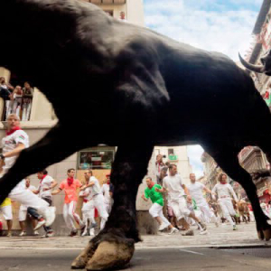 Bitcoin Could See Largest Bull Run in History, Says Market Analyst