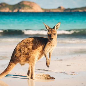 Huobi Heads Down Under — Offers Ten Cryptocurrency/AUD Trading Pairs