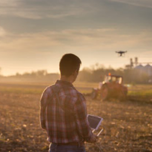 From Farm to Plate, Blockchain Is Revolutionizing Agriculture