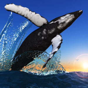 Whales Sell Down Bitcoin Rally: Why This Is Fundamentally Bullish For Crypto