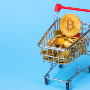 Who SODL? Bitcoin Investors Are Buying Up Cheap Coins, Says eToro