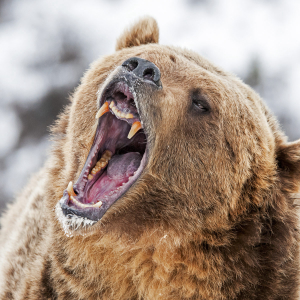 Bitcoin Price Analysis: Bears Struggle To Gain Momentum