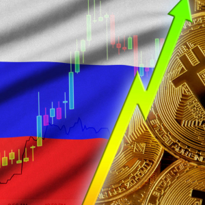 Russians Bought $8.6 Billion in Bitcoin, Says Kremlin Economist
