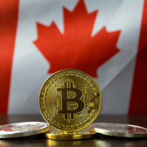 ‘Adoption is Real’: Nearly 5 Percent of Canadians Now Own Bitcoin