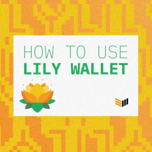 Video: How To Use Lily Wallet