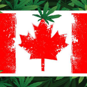 Canadian Blockchain Company Sees Opportunity in Newly Legalized Cannabis