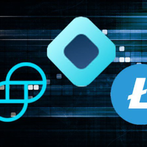 BlockFi Now Offers Litecoin and Gemini Stablecoin-Backed Loan Options