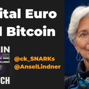 Video: Digital Euro, Central Bank Digital Currencies And Bitcoin