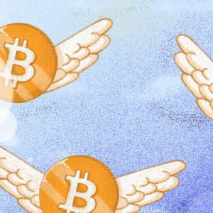 Op Ed: How Fiat Could Fall and Bitcoin Could Soar