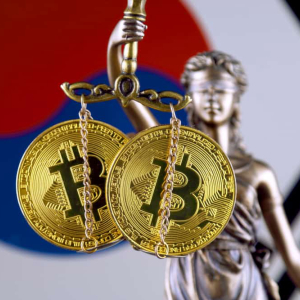 South Korea: Ruling Party Lawmakers Urge Government to Go Ease on ICO Regulation