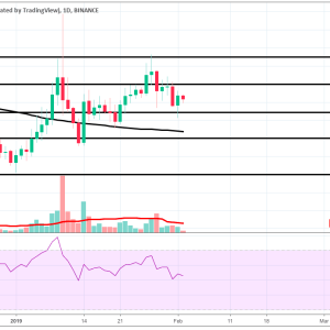 Bitcoin Forming Higher Low After Steep Price Drop?